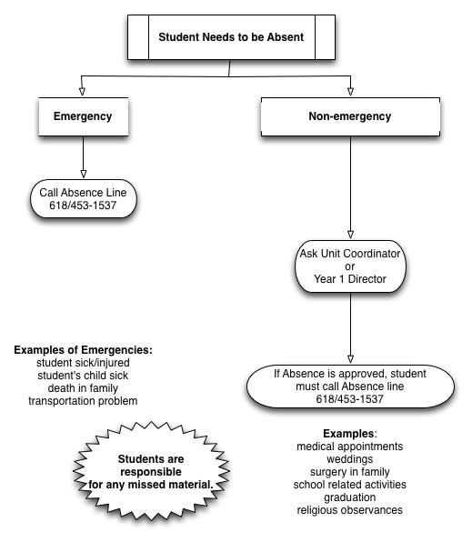 Medical Student Flow Chart