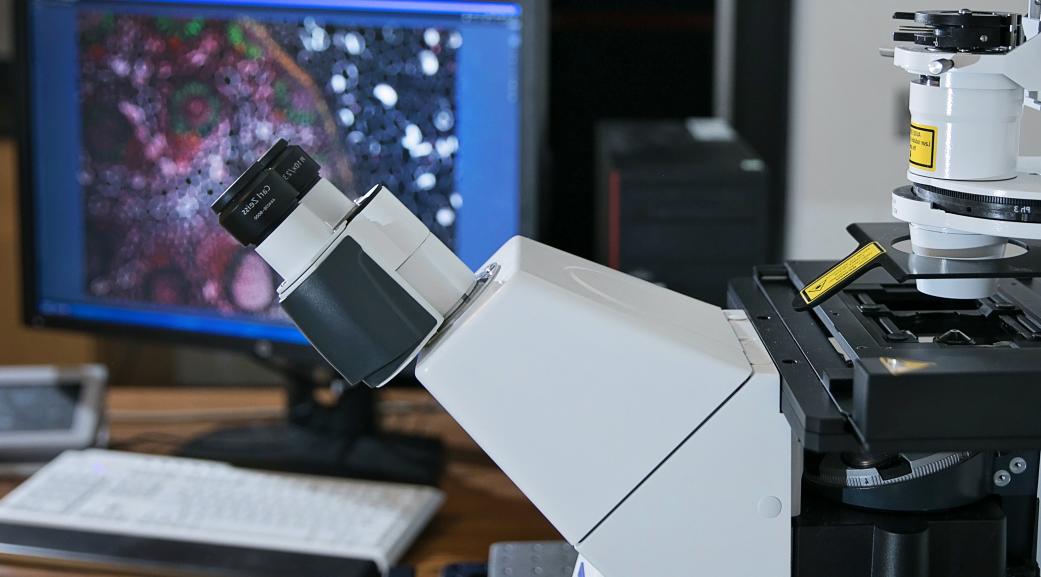 confocal microscope lab research