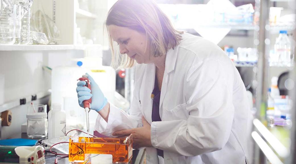 Research Dr. Brandon Cox Lab