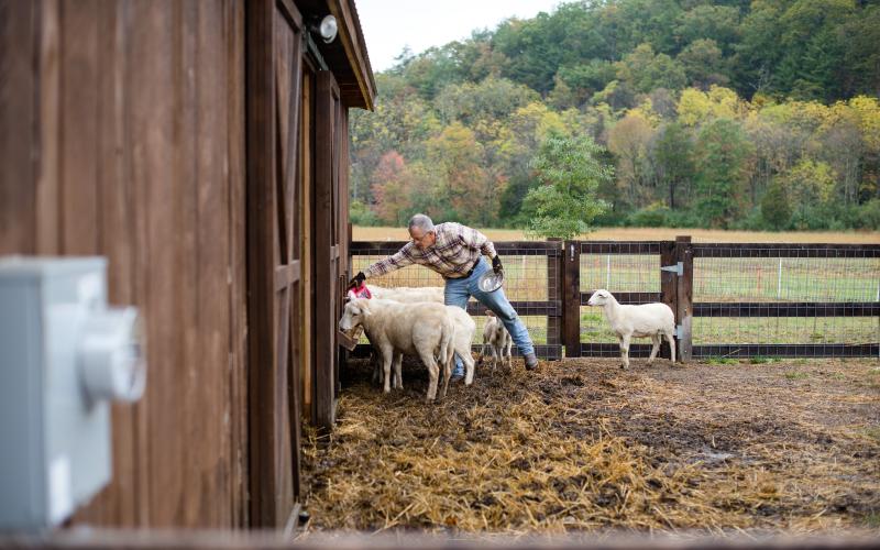 blog-farm-cardio