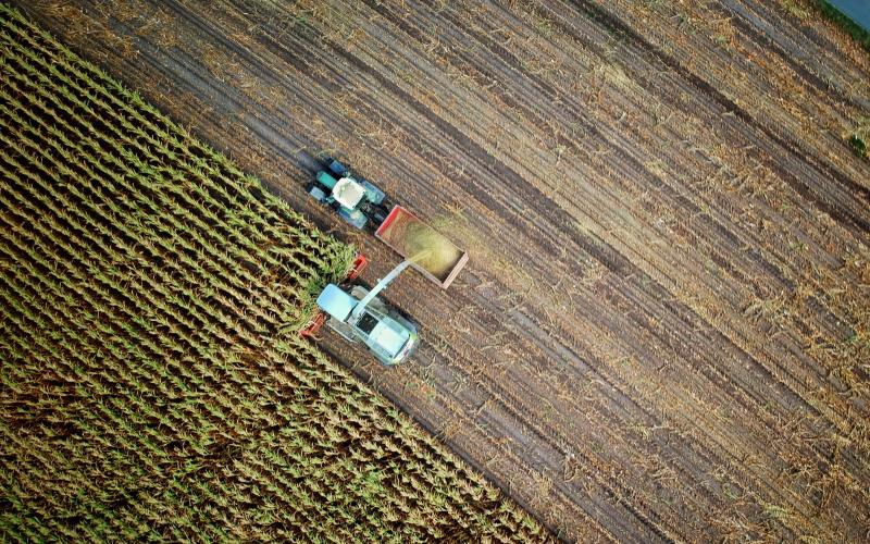 blog-farm-safety