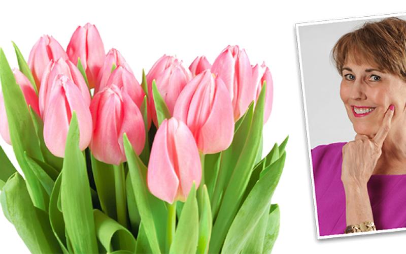 WPL tulips + Kay Frances