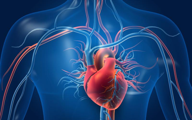 blog-cardiac