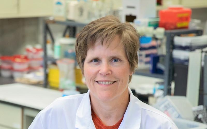 Shelley Tischkau in her lab