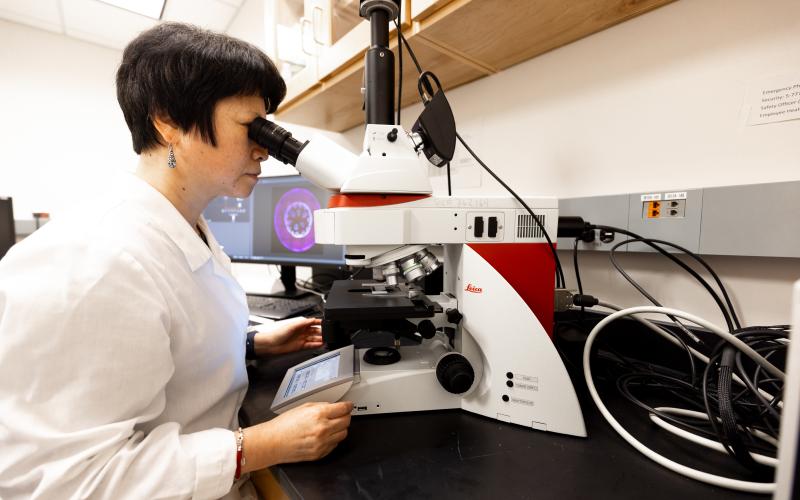 Wei Du and the THUNDER Imager