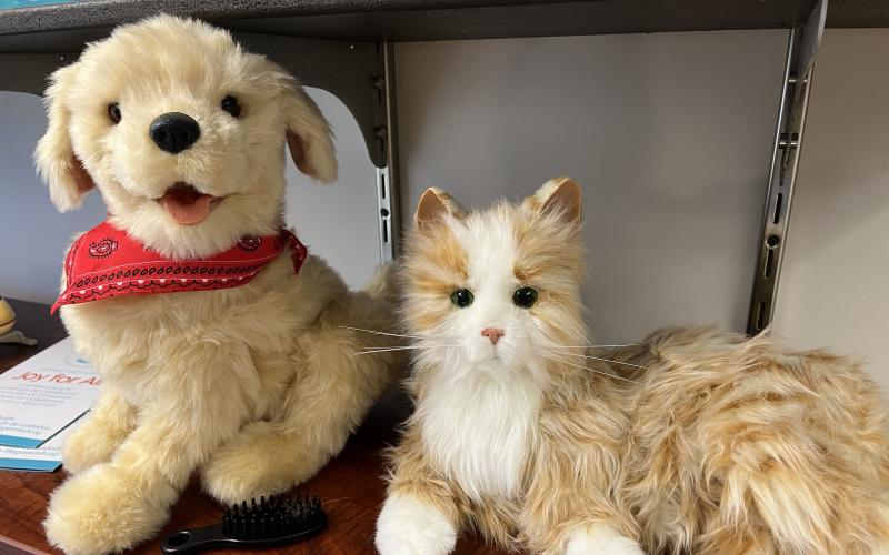 Electronic dog and cat