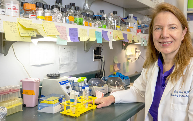 Dr. Judy Davie in her lab in Carbondale