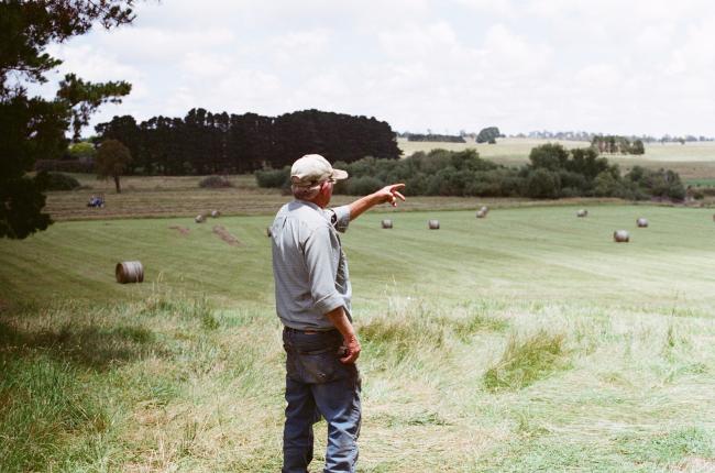 blog-farm-cancer