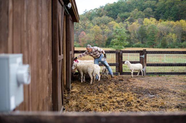 blog-farm-cardio