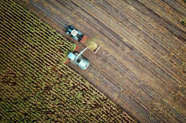 blog-farm-safety