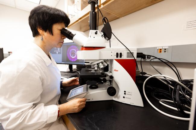 Wei Du and the THUNDER Imager
