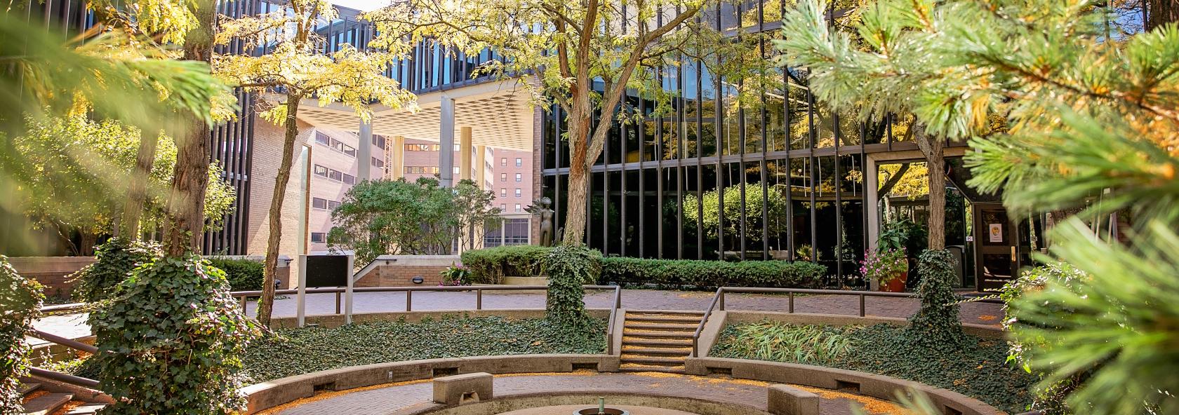 Campus image of SIU School of Medicine