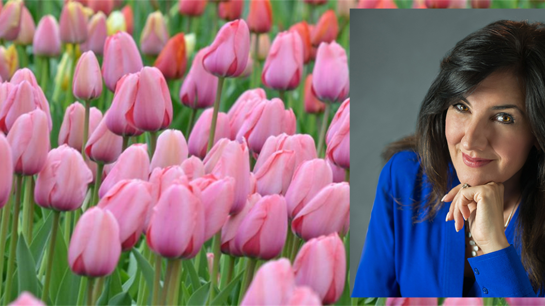Christine Cashen, WPL speaker