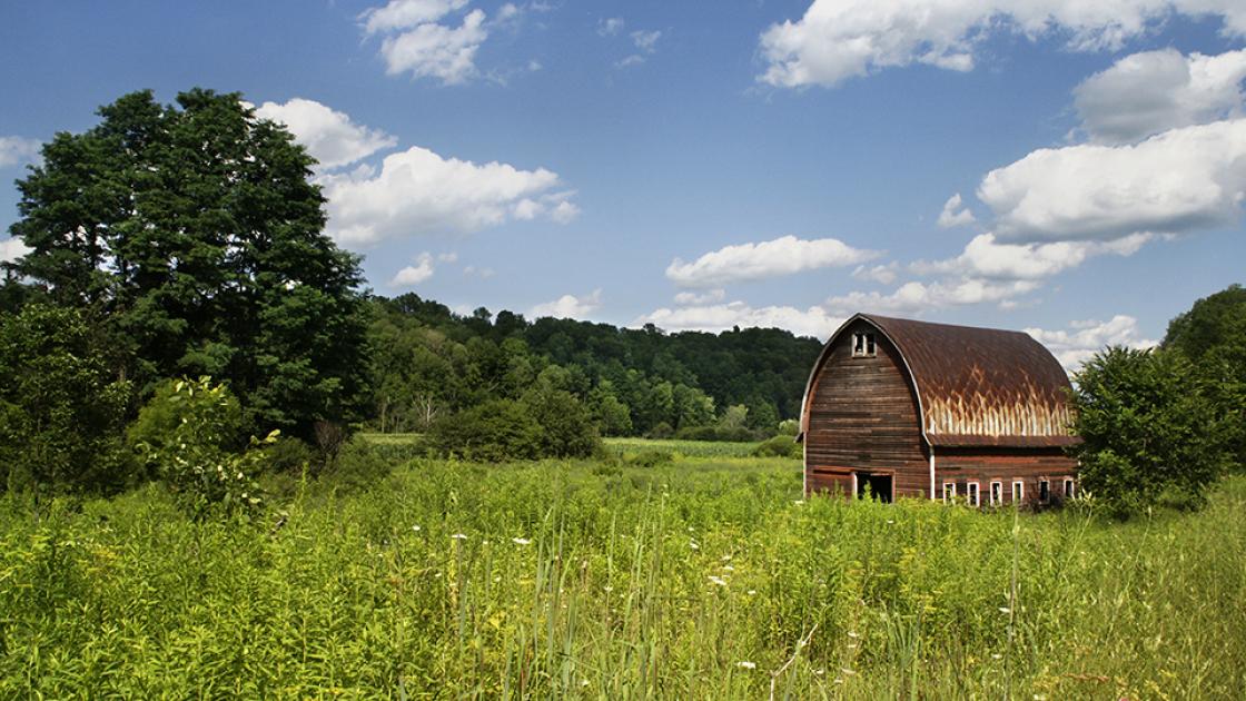 Rural field with barn