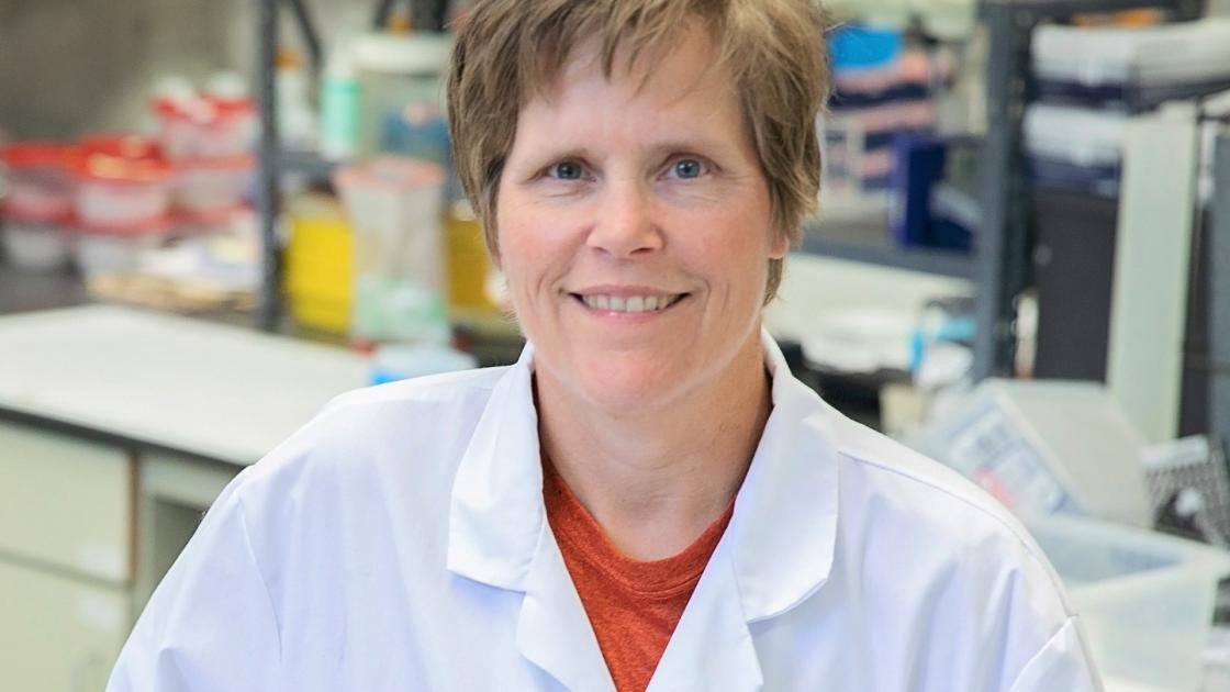 Shelley Tischkau in her lab