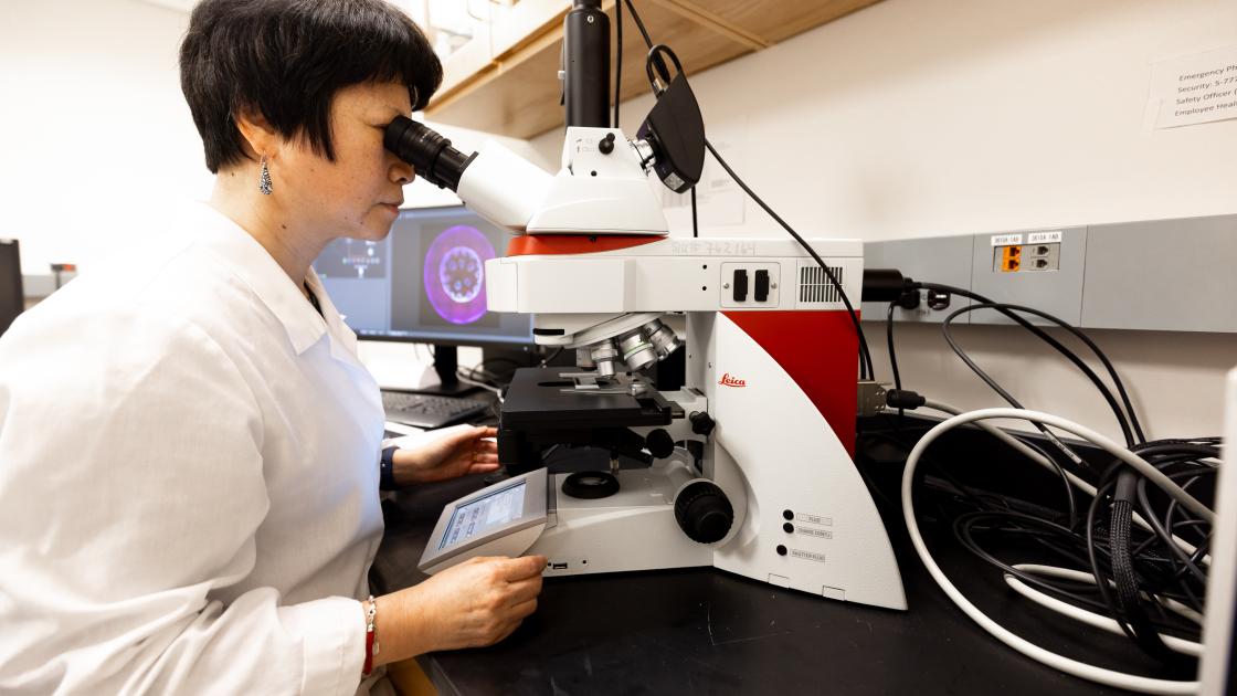Wei Du and the THUNDER Imager