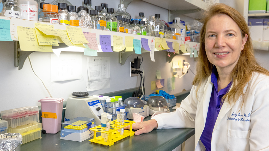 Dr. Judy Davie in her lab in Carbondale
