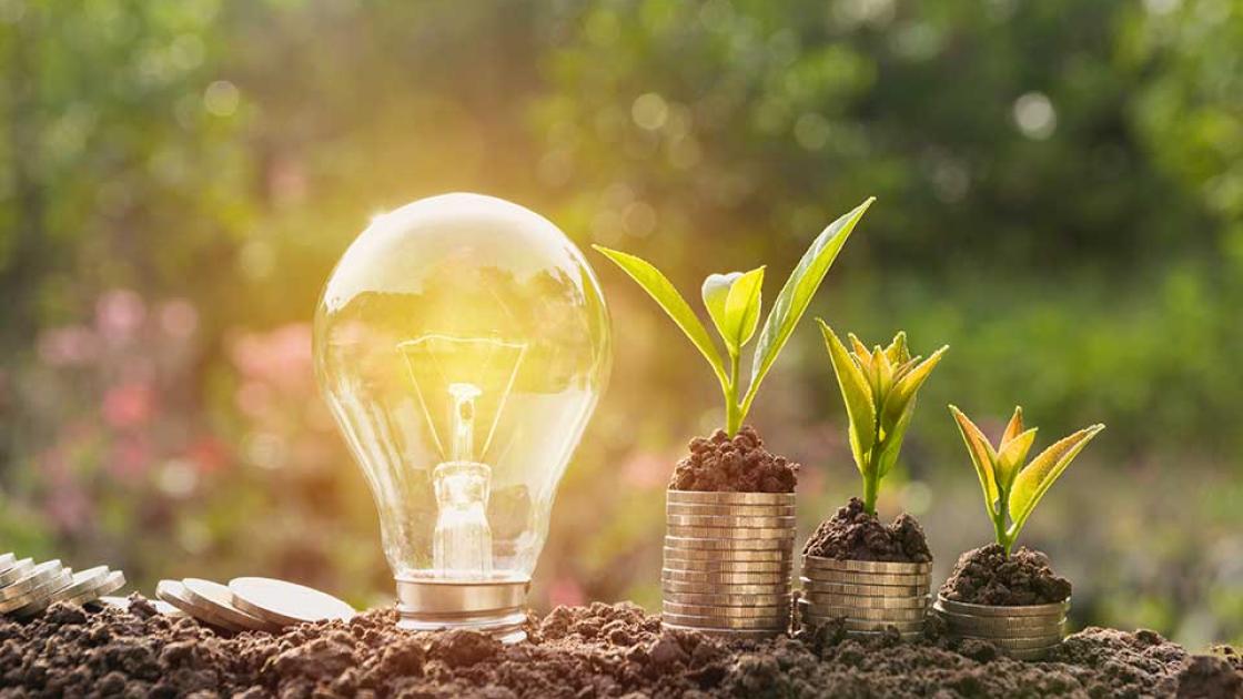 Seed grants, light bulb with seedlings