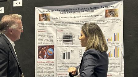 SFN 24