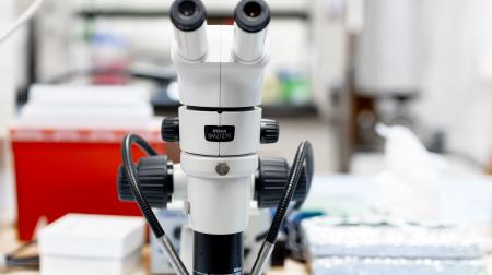 Dr. Miyoshi lab 