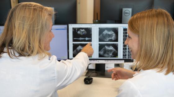 OB Physician Pointing to Computer Screen