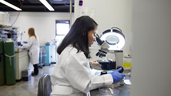 Hascup Lab