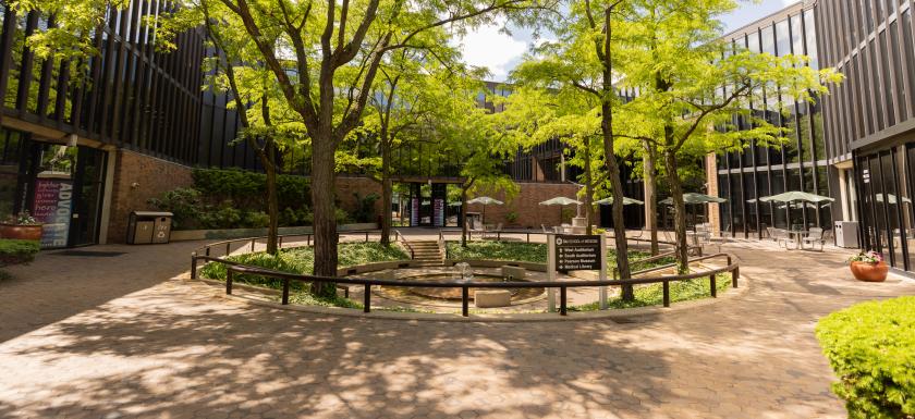 SIU Medicine Courtyard