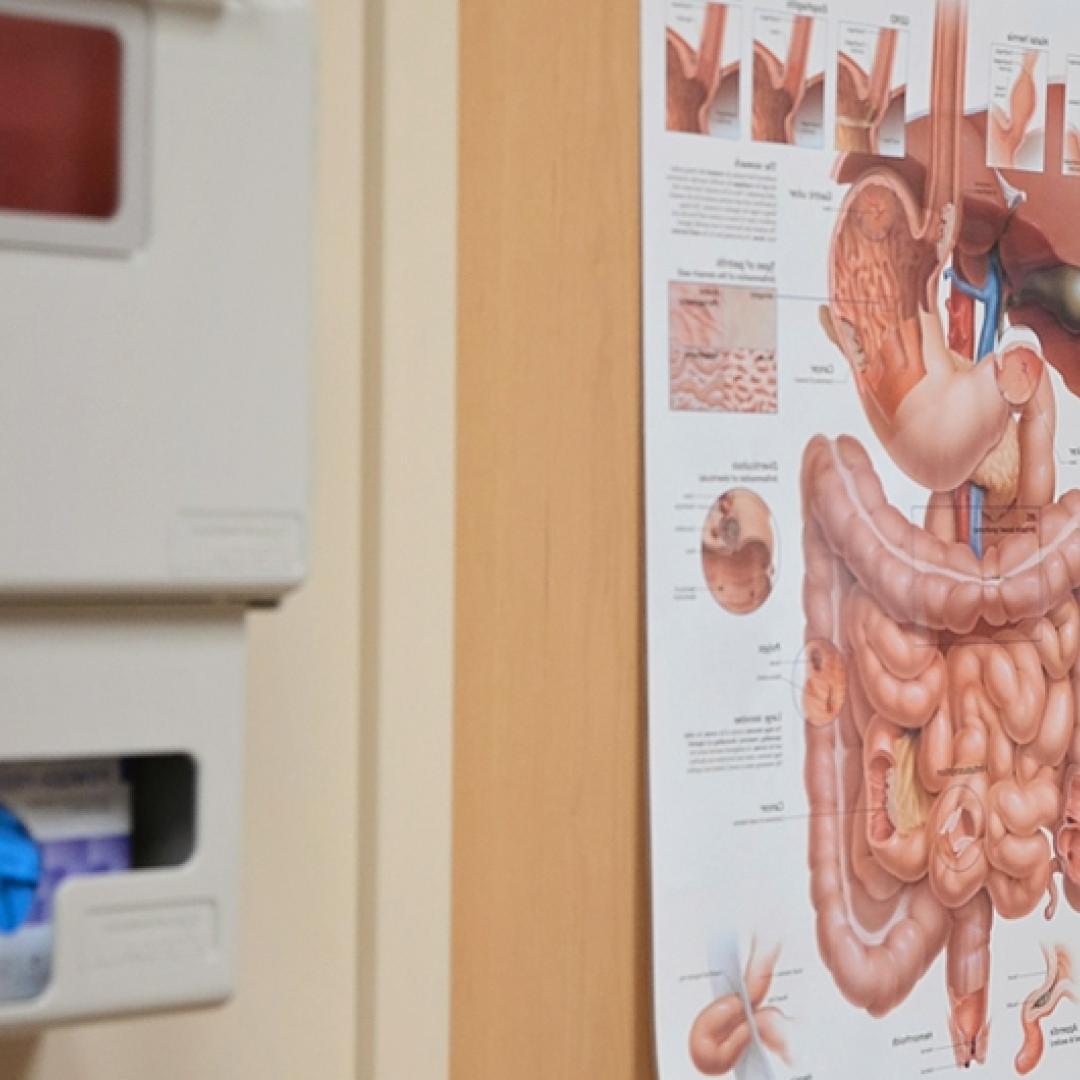 Gastroenterology