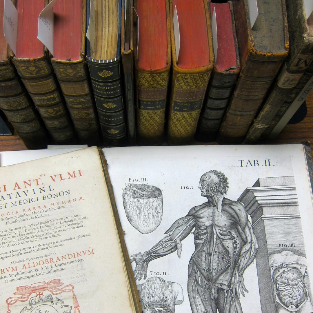 anatomy books