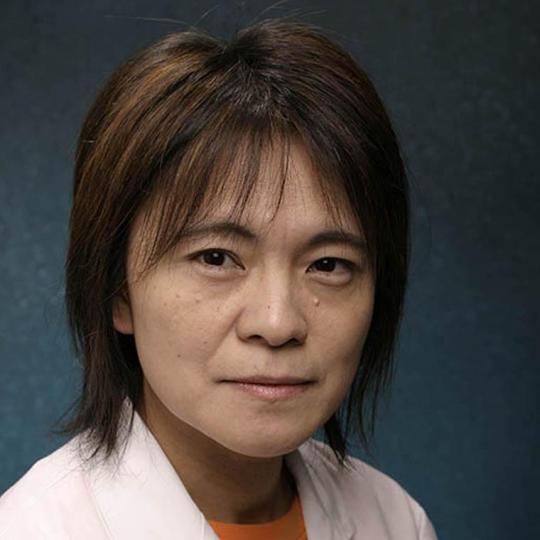 Amy Arai