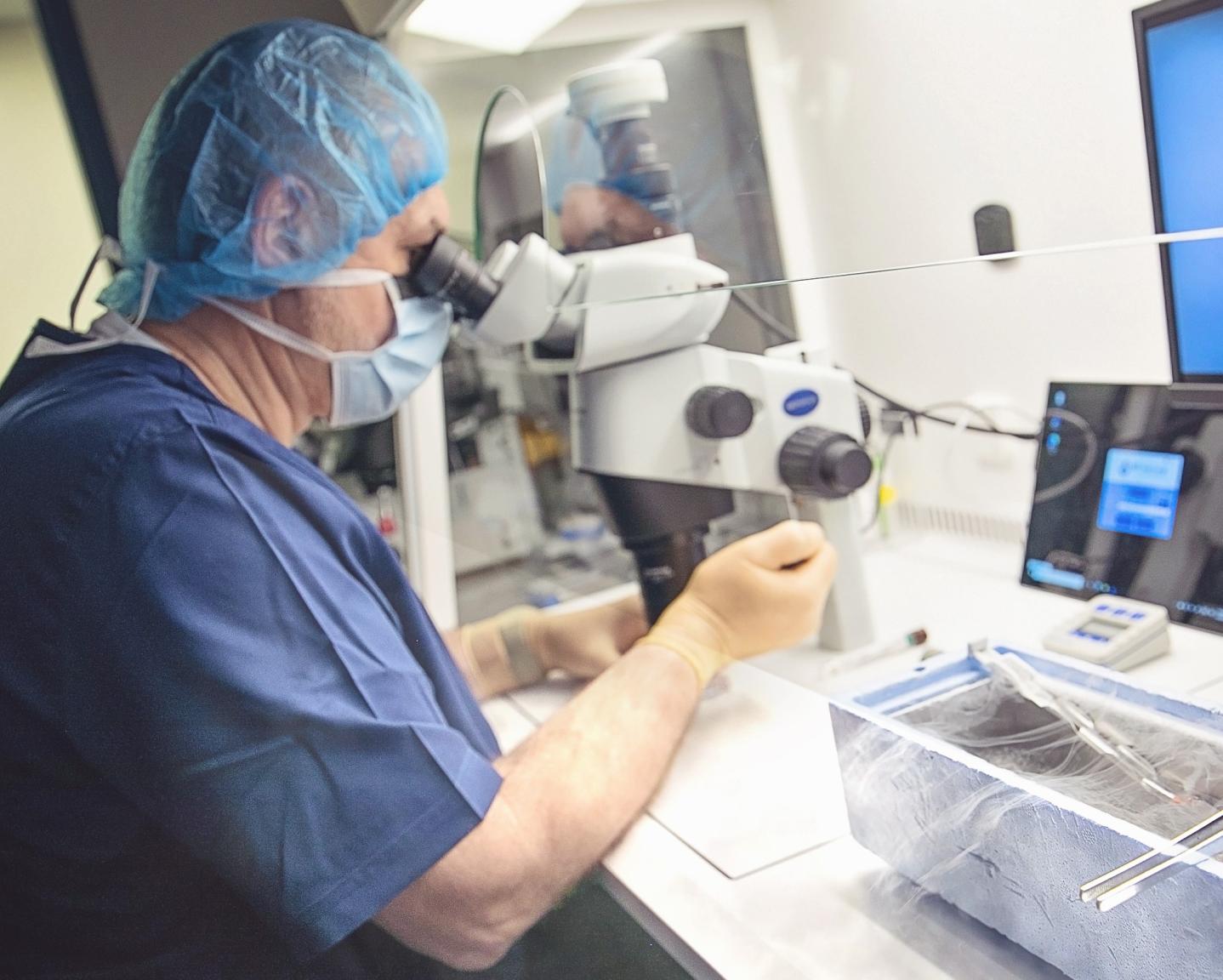 IVF Lab