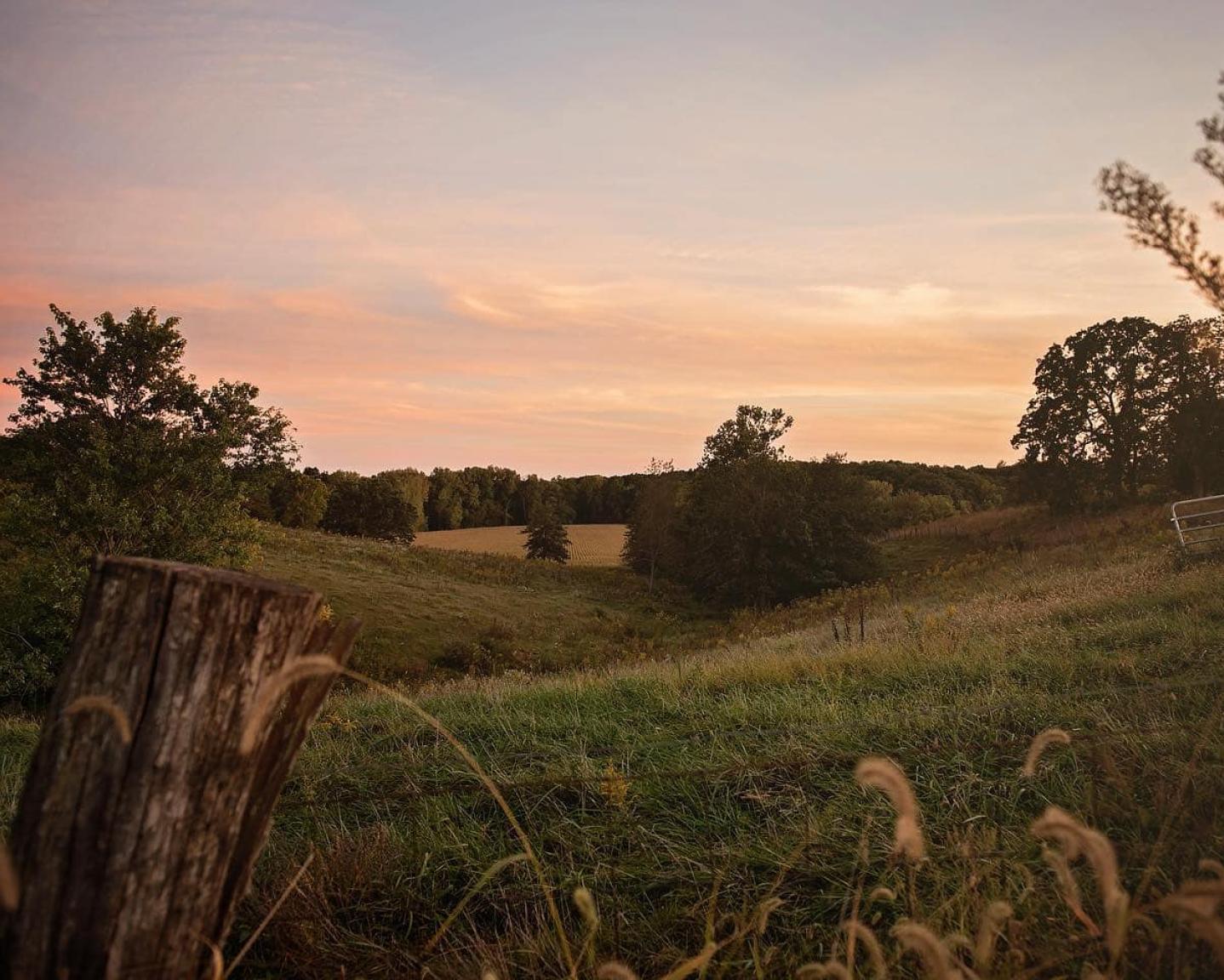 Rural Field with Sunset