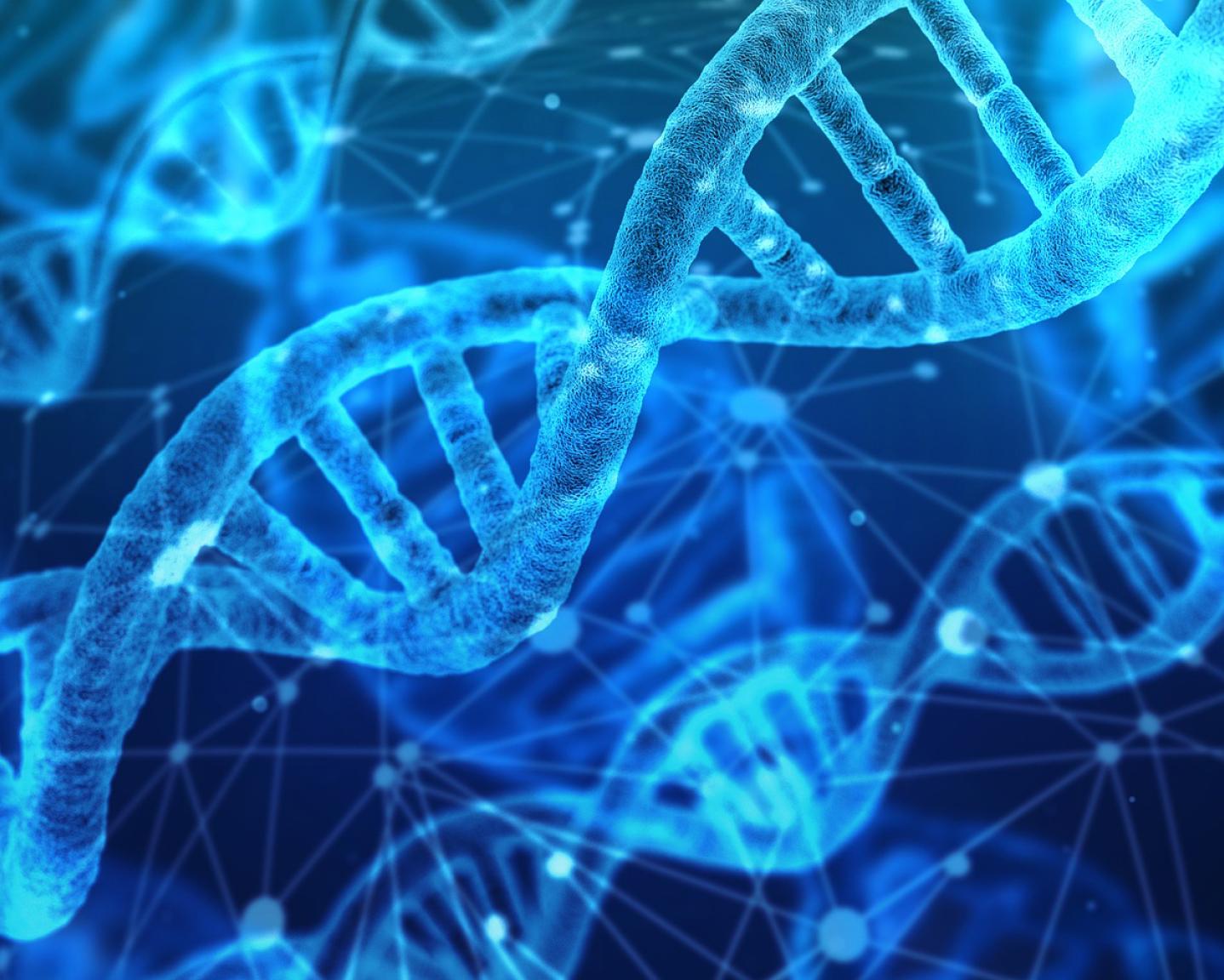 DNA strands