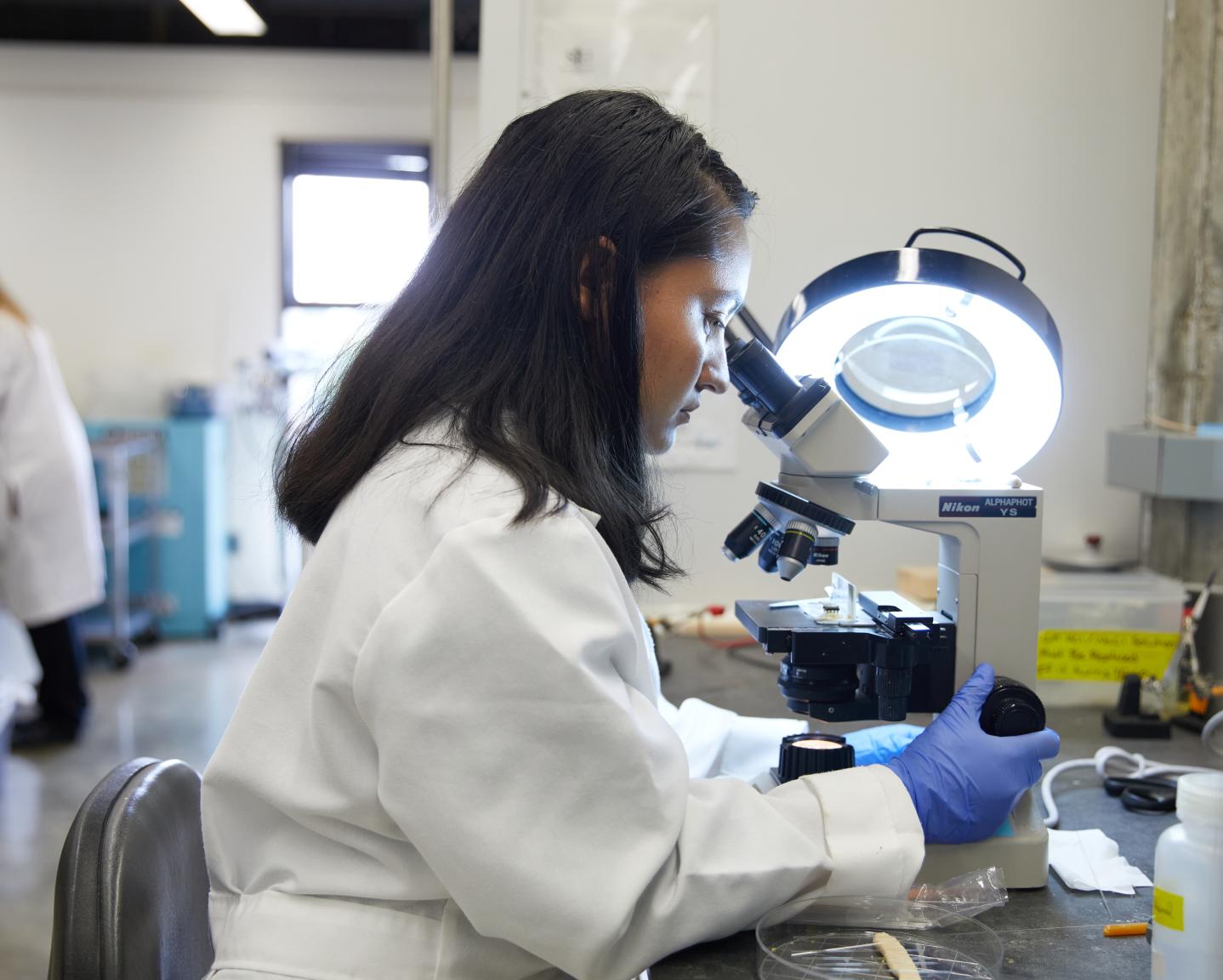 Hascup Lab Alzheimers
