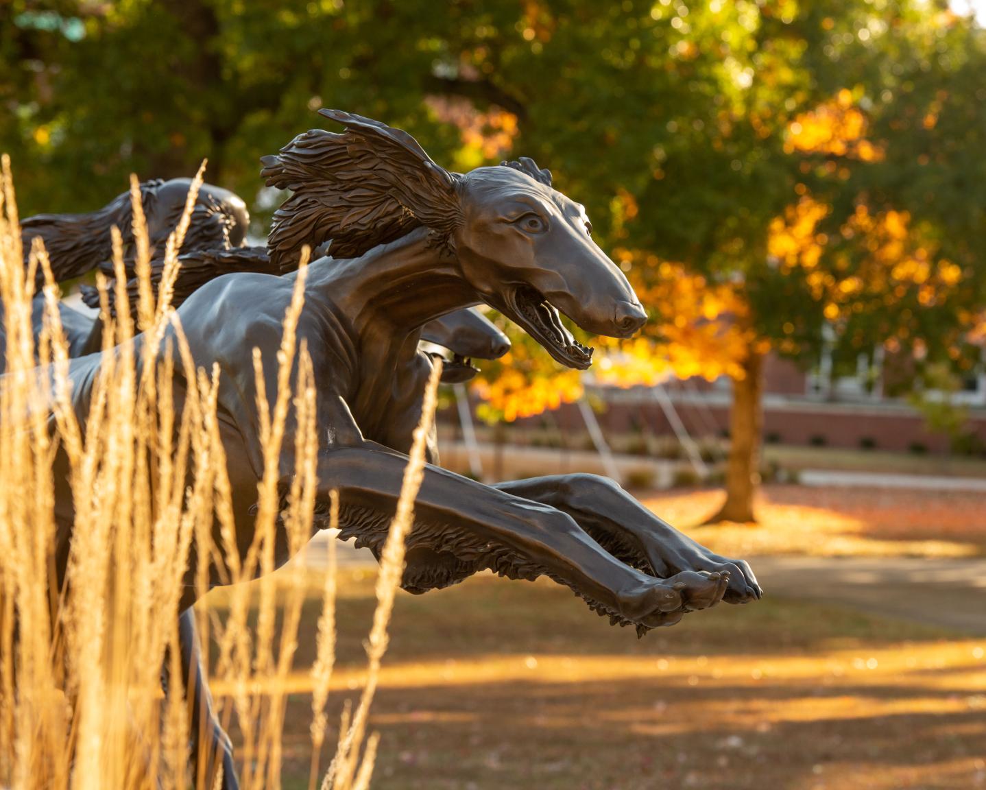Image of the SIU Saluki Statue in the Alumni Courtyard on SIU Carbondale Campus on a sunny fall day