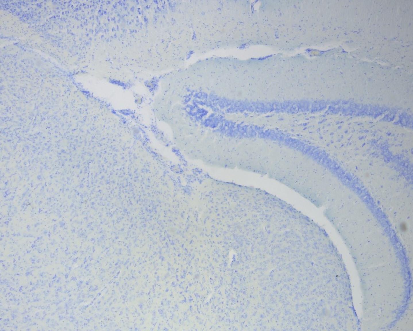 Photo of BIOMED class