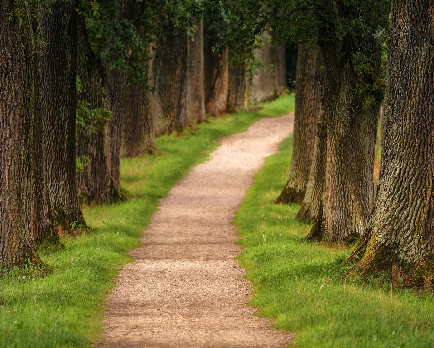 Pathway Image