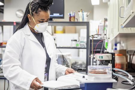 Researcher working in the lab