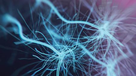 Neuron cells system