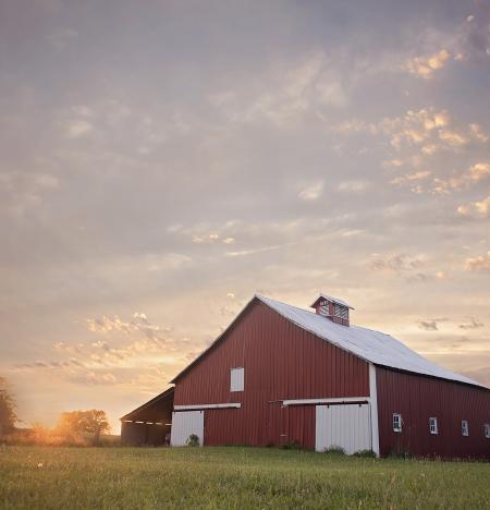 Red Barn in Field