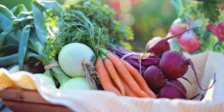blog-veggies