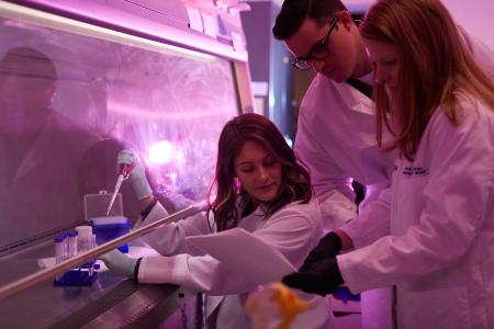 Research Scholars Program