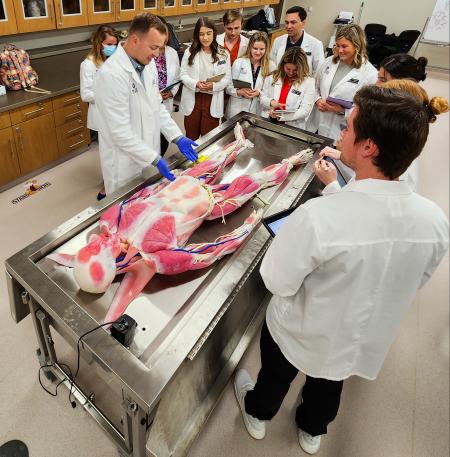 Photo of Physician Assistant students learning about the body