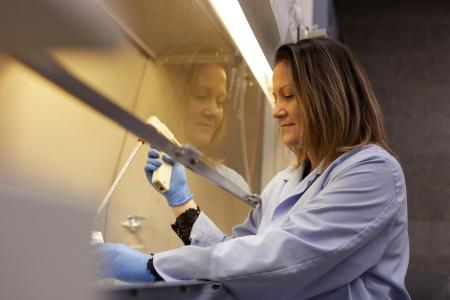 Photo of research lab work