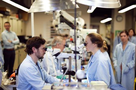 Doctors in the lab