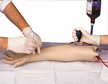 Arterial Puncture Arm Simulator Photo