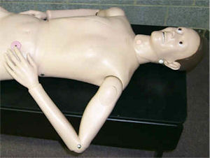 The 3B Nurse Training Doll Photo