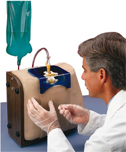 Spinal Injection Simulator Photo