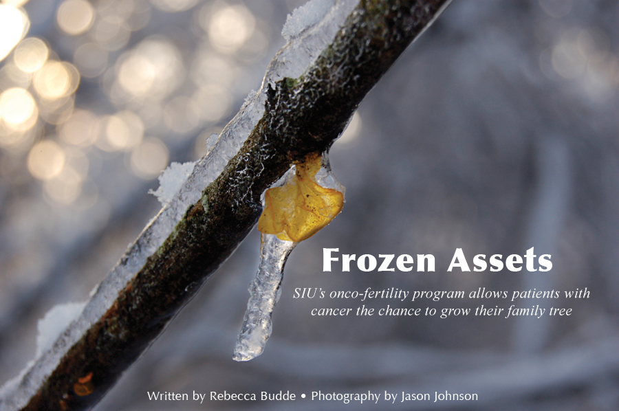 Frozen Assets