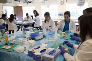 SIU Med School Physician Pipeline Program Now Accepting Applications